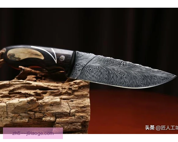 雅各布斯中路直塞造单刀，锋线把握机会成焦点